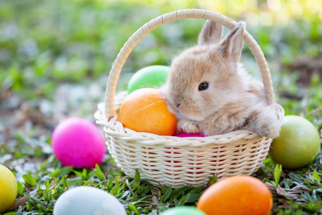 La Sablésienne Pâques